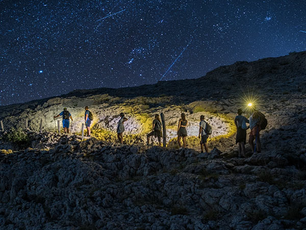 Night Hike